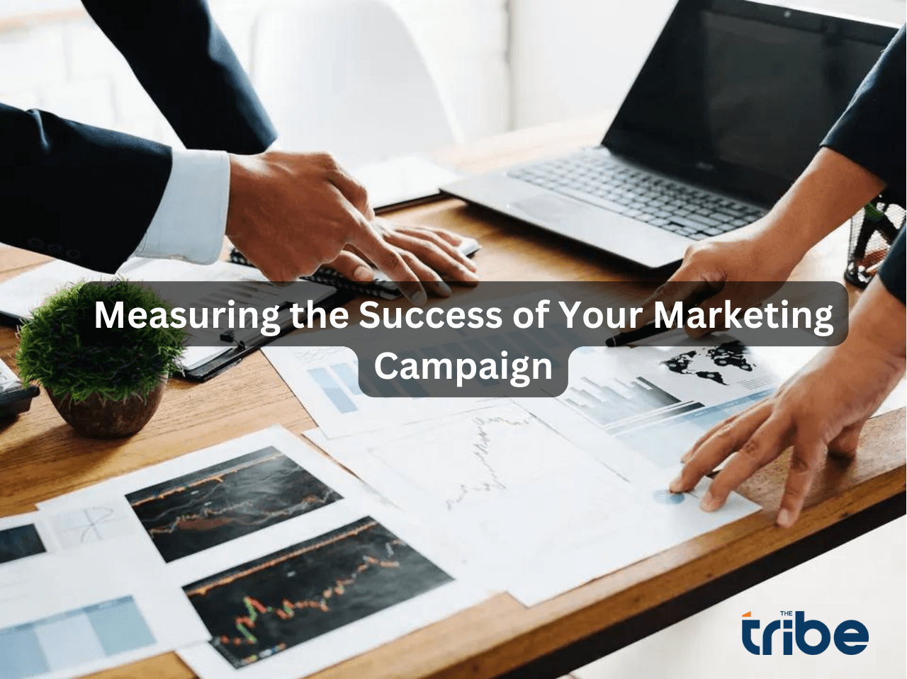 Cost per Lead: Measuring The Success of Your Campaign