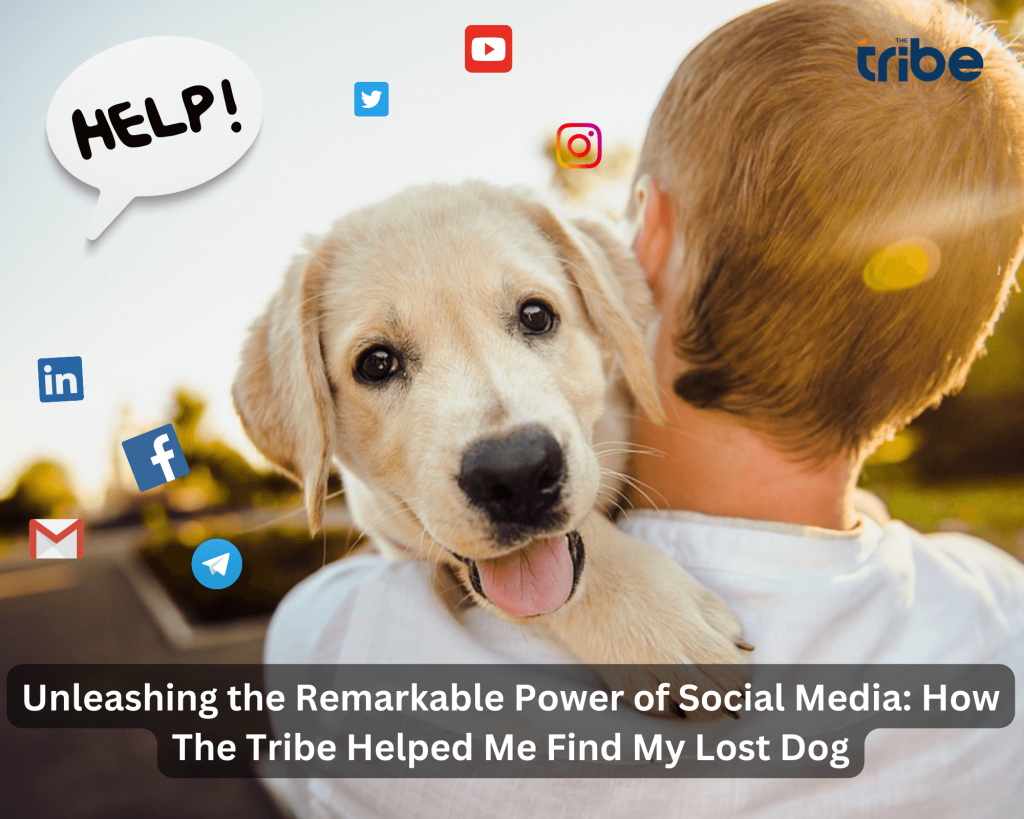 Unleashing the Remarkable Power of Social Media: How The Tribe Helped Me Find My Lost Dog