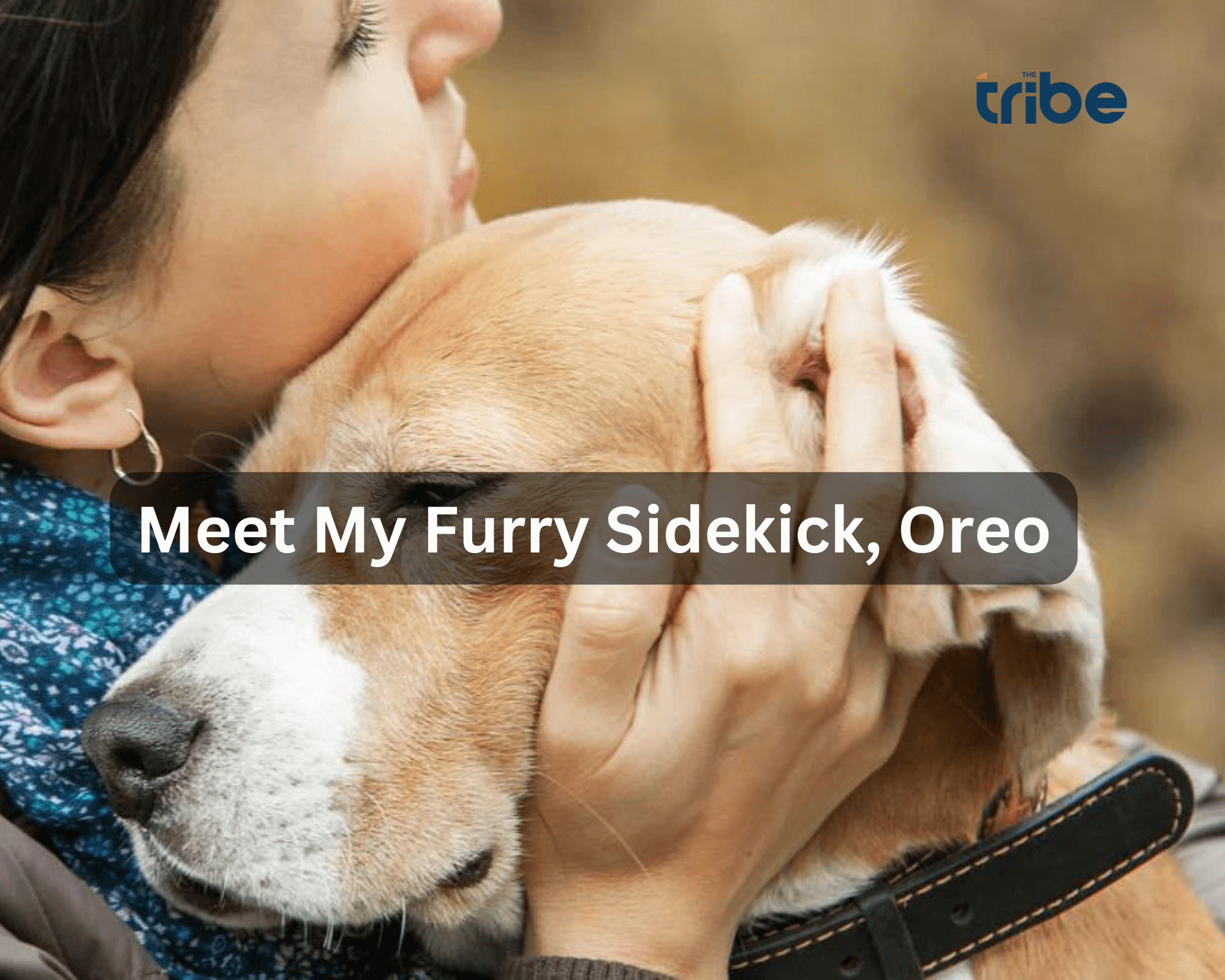Unleashing the Remarkable Power of Social Media: How The Tribe Helped Me Find My Lost Dog