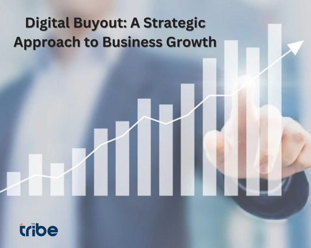 Digital Buyout: A Strategic Approach to Business Growth